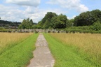 wildflower areas either side of path from chapel