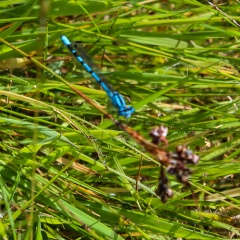 20211212203532-d7e2d7ab